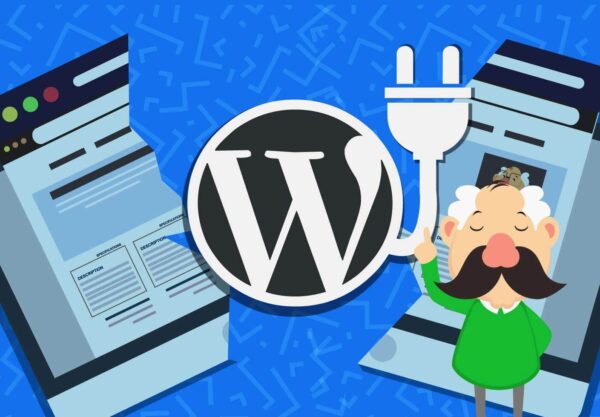 The Accessibe WordPress Plugin Enhances the Professional Functionality of Your Business Site