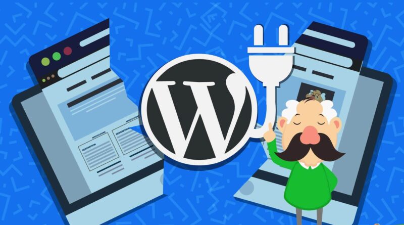 The Accessibe WordPress Plugin Enhances the Professional Functionality of Your Business Site